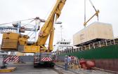 EZ Link Coordinate Heavy Cargo via Bulk Vessel to Turkiye