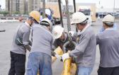 EZ Link Coordinate Heavy Cargo via Bulk Vessel to Turkiye
