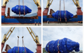 Duck Yang Coordinate Bulk Shipment from China to Korea