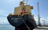 Fortune International Begin Shipments for Fenix Project in Sicily