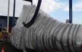 Extensive Project Logistics Knowledge at Alow Forwarding Mexico
