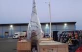 Extensive Project Logistics Knowledge at Alow Forwarding Mexico