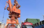 Protranser Report 4 Sets of Transformers from China to Korea