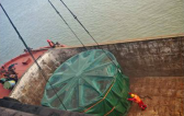 Eastrong Help Navigate Complex Logistics Challenges