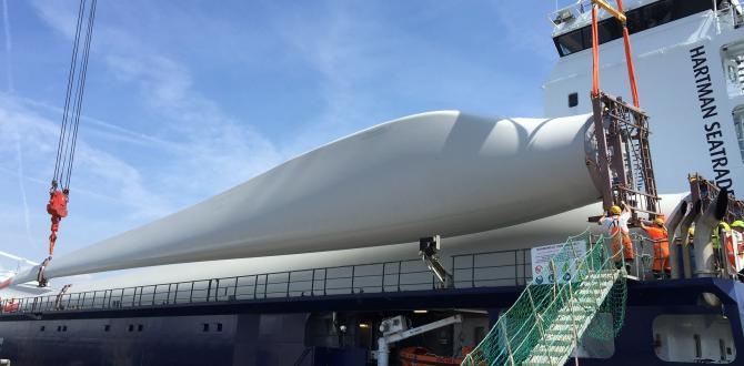 Europe Cargo Handle Wind Project from Vietnam to Belgium