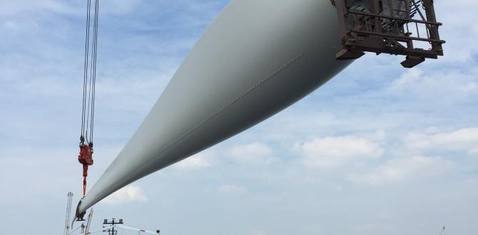 Europe Cargo Handle Wind Project from Vietnam to Belgium