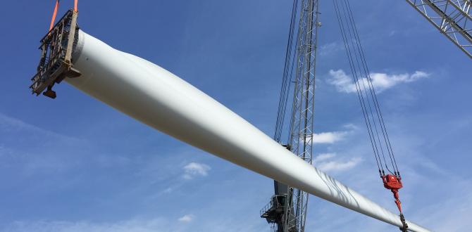 Europe Cargo Handle Wind Project from Vietnam to Belgium