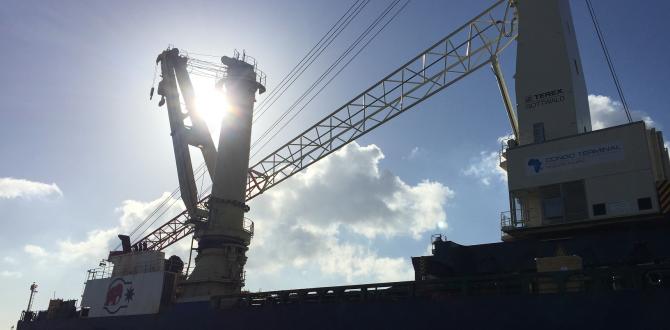 Europe Cargo Handle Difficult Loading of Fully Erected Crane