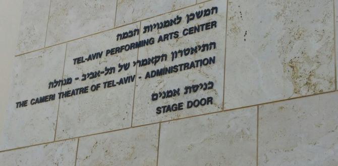 Jacky Line Handle Complex Project for Prestigious Theatre