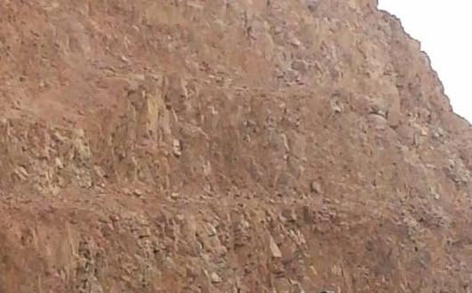 Paragon Saudi Services Handle Move of 22 CAT Diggers to Jordan