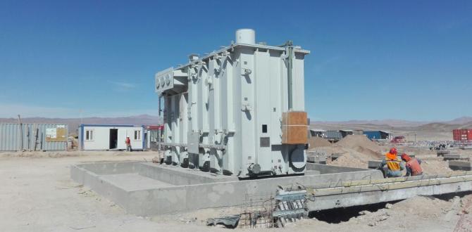 Integral Move Transformers for Renaico Wind Power Plant