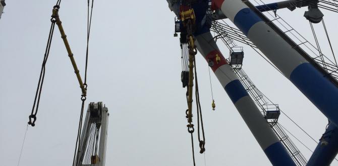 Europe Cargo with Incredible Shipment to Japan