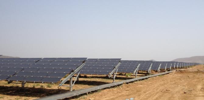 Express Global Logistics Contributing to a Green India with Solar Projects