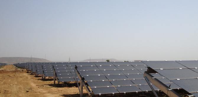 Express Global Logistics Contributing to a Green India with Solar Projects