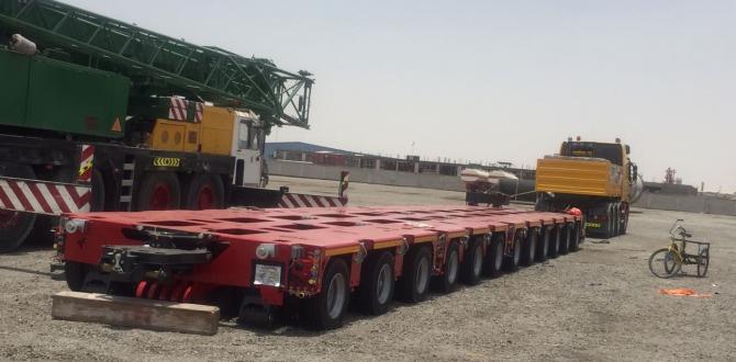 WSS & Europe Cargo with Time Bound Shipment from Belgium to the UAE