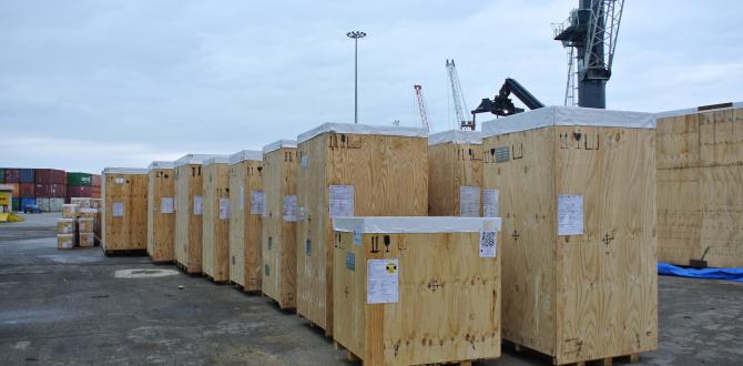 Fortune & Actanis Load Project Cargo Like a Game of Tetris!