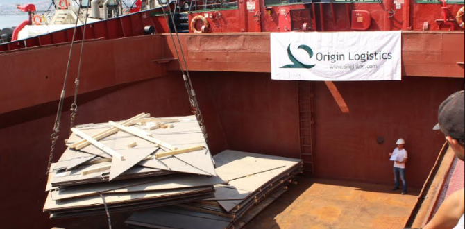 Origin Logistics with Transshipment of Project Cargo in Derince