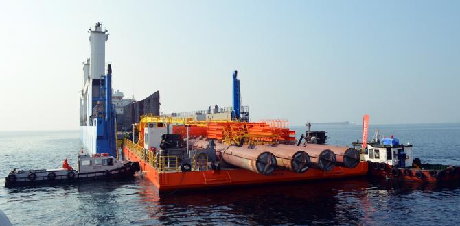 BATI with Several Successful Project Cargo