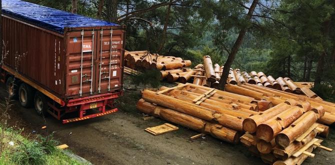 Zero Time Services Transport Ironwood from Russia to Cyprus