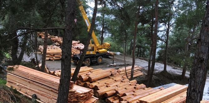 Zero Time Services Transport Ironwood from Russia to Cyprus