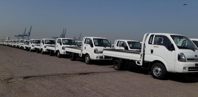 Al Bader Shipping Sets New RORO Record in Kuwait