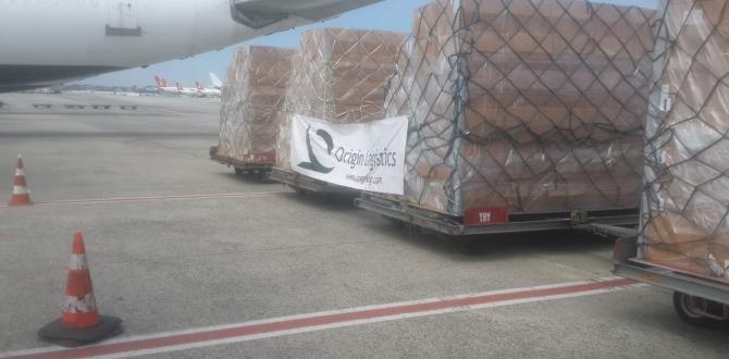 Origin Logistics Organise Air Charter to Doha for Healthcare Forces of Qatar