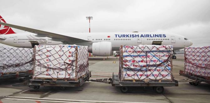 Premier Global Logistics with Urgent Air Shipment to France