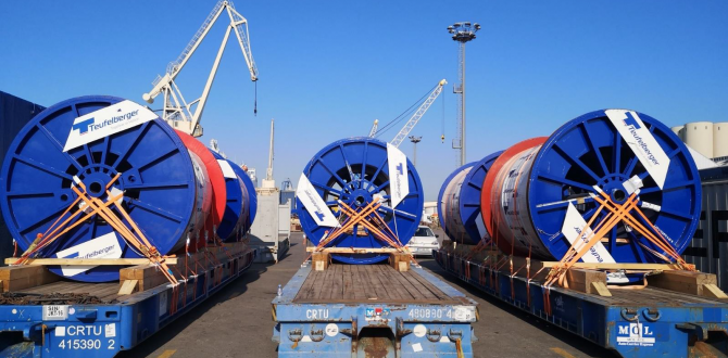 Turnkey Solutions for Complex Projects at Austromar Hungary