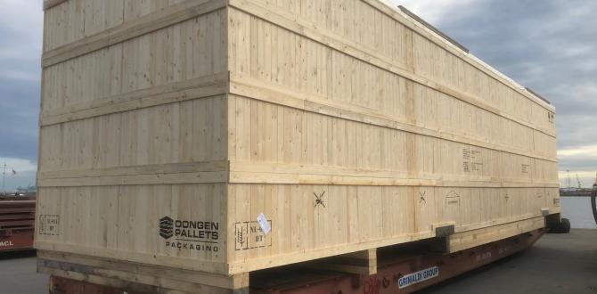 Europe Cargo Handle Shipping of Big 56tn Case