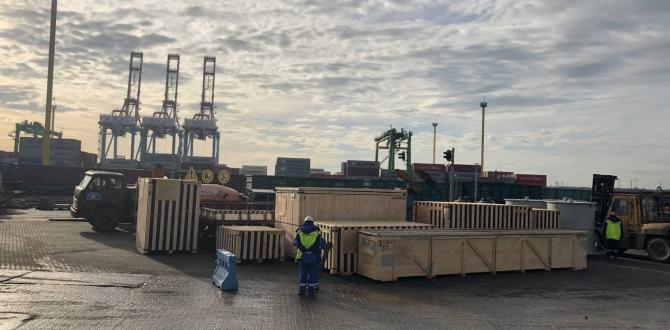 First Global Logistics in Egypt Delivers OOG Shunt Reactor