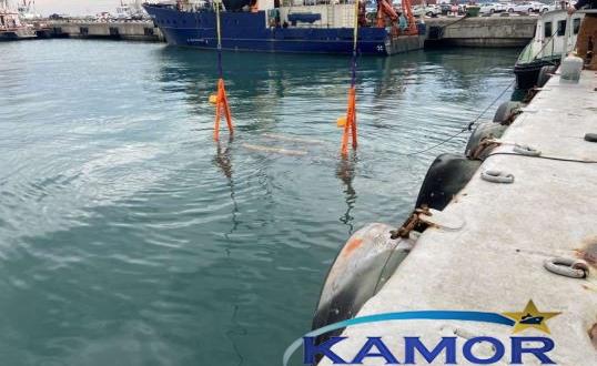 Kamor Logistics Transport a Trimaran to Taiwan