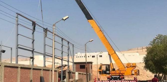 ILS Egypt Deliver High-Efficiency Logistics Solutions