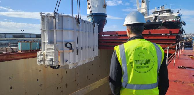 Megagon Deliver Transformers from Turkiye to Lithuania