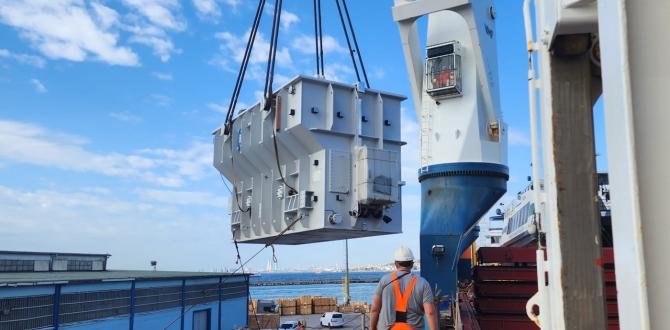 Megagon Deliver Transformers from Turkiye to Lithuania