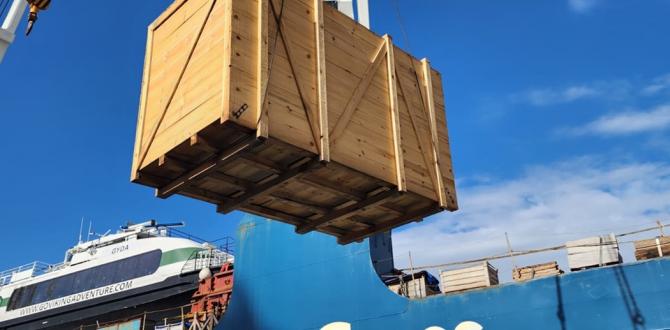 Megagon Deliver Transformers from Turkiye to Lithuania