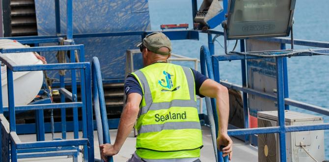 Sealand Shipping Triumph with Seamless Barge Load