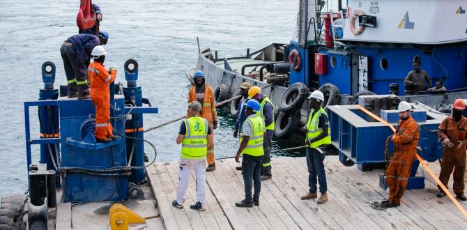 Sealand Shipping Triumph with Seamless Barge Load