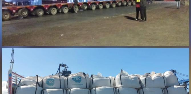 MGL Cargo Services Execute Breakbulk Shipment to Tunisia