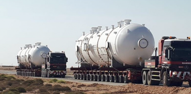 Seamless Project Solutions at Baggio Algeria