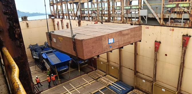 EXG Navigate Multimodal Freight with Finesse from India to Brazil