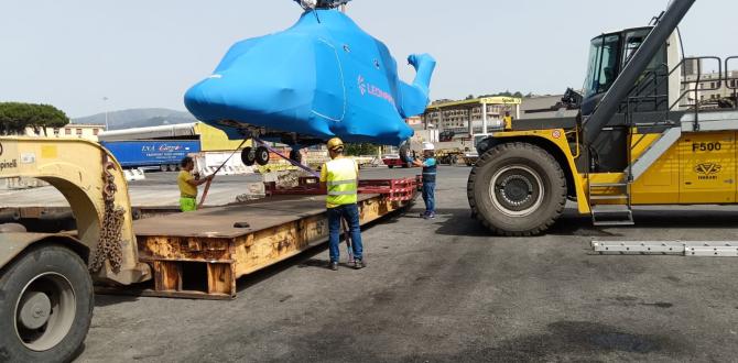 Fortune International Conduct Multimodal Transport of Helicopter