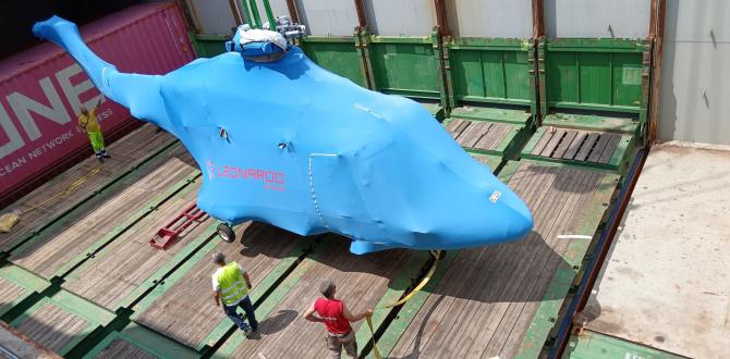 Fortune International Conduct Multimodal Transport of Helicopter