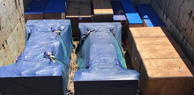 Balena Projects Transport Heavy Press Machine to North America