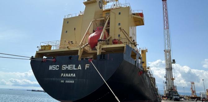 Fortune International Begin Shipments for Fenix Project in Sicily