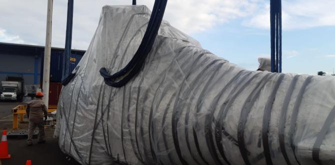 Extensive Project Logistics Knowledge at Alow Forwarding Mexico