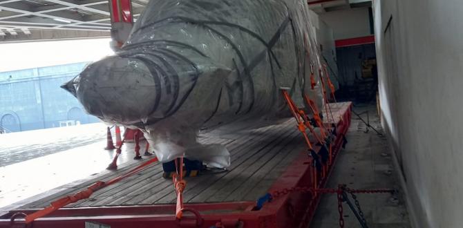 Extensive Project Logistics Knowledge at Alow Forwarding Mexico