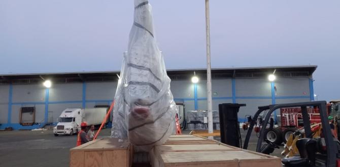 Extensive Project Logistics Knowledge at Alow Forwarding Mexico