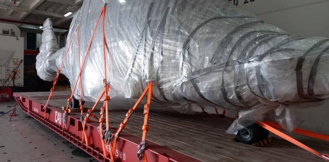 Extensive Project Logistics Knowledge at Alow Forwarding Mexico