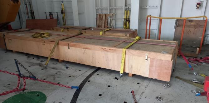 Extensive Project Logistics Knowledge at Alow Forwarding Mexico