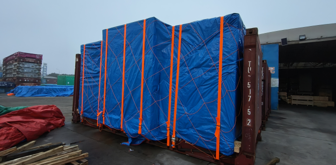 Extensive Project Logistics Knowledge at Alow Forwarding Mexico